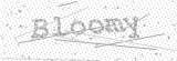 Security Picture (click to change)