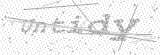 Security Picture (click to change)