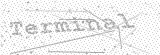 Security Picture (click to change)