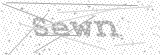 Security Picture (click to change)
