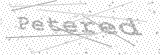 Security Picture (click to change)