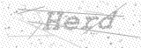 Security Picture (click to change)