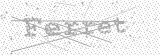 Security Picture (click to change)