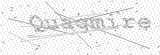 Security Picture (click to change)