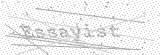 Security Picture (click to change)
