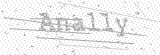 Security Picture (click to change)