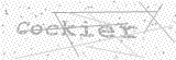 Security Picture (click to change)