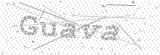 Security Picture (click to change)