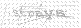 Security Picture (click to change)
