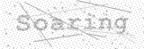 Security Picture (click to change)