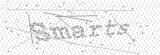 Security Picture (click to change)