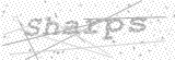Security Picture (click to change)