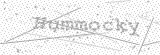 Security Picture (click to change)