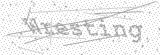 Security Picture (click to change)