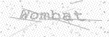 Security Picture (click to change)