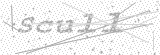 Security Picture (click to change)