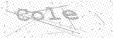Security Picture (click to change)