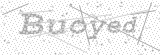Security Picture (click to change)