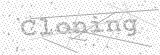 Security Picture (click to change)