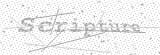 Security Picture (click to change)