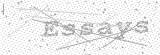 Security Picture (click to change)