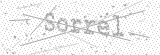 Security Picture (click to change)
