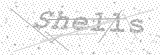 Security Picture (click to change)