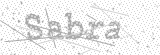 Security Picture (click to change)