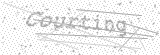 Security Picture (click to change)