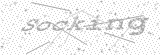 Security Picture (click to change)