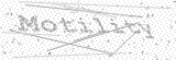 Security Picture (click to change)