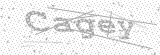 Security Picture (click to change)