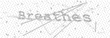 Security Picture (click to change)
