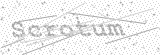Security Picture (click to change)