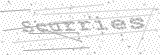 Security Picture (click to change)