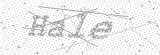 Security Picture (click to change)