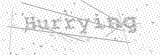 Security Picture (click to change)