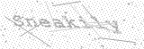 Security Picture (click to change)