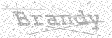 Security Picture (click to change)