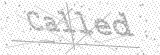 Security Picture (click to change)