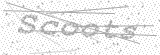 Security Picture (click to change)