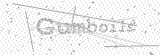 Security Picture (click to change)