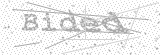 Security Picture (click to change)