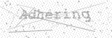 Security Picture (click to change)