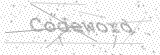 Security Picture (click to change)