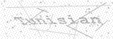 Security Picture (click to change)