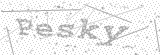 Security Picture (click to change)