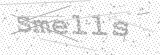 Security Picture (click to change)