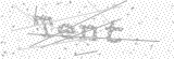 Security Picture (click to change)