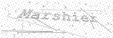 Security Picture (click to change)